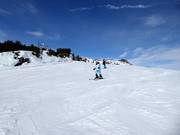 Piste facile sur le plateau élevé du Feuerberg