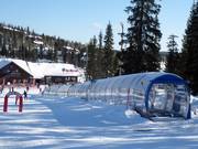 L Magic carpet - Tapis roulant/Moving Carpet recouvert d’une galerie