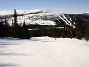 Piste facile au téléski Blabaerfjell