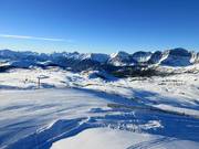 Vue sur le vaste domaine skiable de Sunshine Village