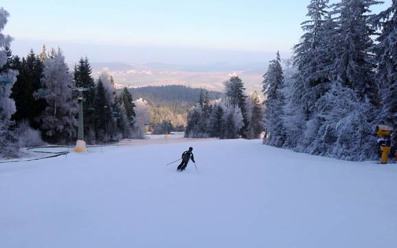Diversité des pistes Cham – Diversité des pistes Hohenbogen – Neukirchen bei Hl. Blut