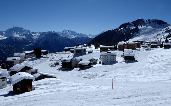 Alpes tessinoises: Domaines skiables respectueux de l'environnement – Respect de l'environnement Aletsch Arena – Riederalp/Bettmeralp/Fiesch Eggishorn