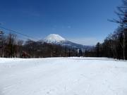 Piste facile Final Fling (Niseko Village)