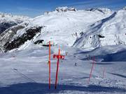 Panneaux d'information au Gemsstock