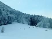 Vue sur la piste au Wanklift I