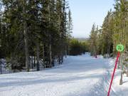 Piste Baldersbacken n° 14