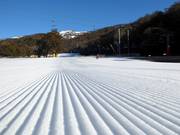 Très bonne préparation des pistes dans le domaine skiable de Thredbo
