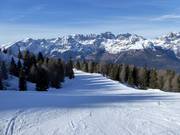 Nouvelle piste Jana Granda