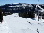 Bon plan pour les enfants : 