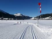 Pistes de ski de fond dans la vallée de Tannheim