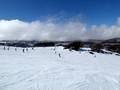 Pistes Falls Creek