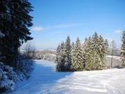 La piste inférieure contourne le bois en formant une courbe.