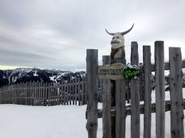 Flachauwinkl/Kleinarl (Shuttleberg)