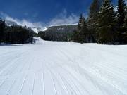 Piste pour débutants Jackelope