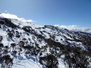 Pentes de freeride et de poudreuse dans la partie supérieure de Thredbo