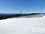 Espace d'entraînement avec tapis roulants à la Skistua