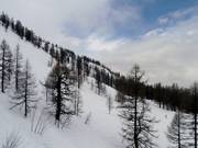 Zone de freeride un peu au-dessus de Lognan