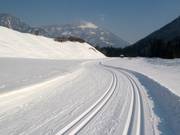 Piste de ski de fond à Waidring, au pied de la Steinplatte