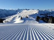 Très bonne préparation des pistes