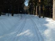 Piste de ski de fond Königskron à la station supérieure des remontées mécaniques près de la maison Bayreuther