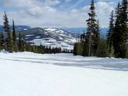 Piste typique en clairière forestière à Kimberley