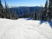 Descente Cruiser avec vue sur les descentes du Mt. Morrisey