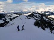 Descente Controverse