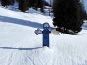 Des personnages amusants sur la piste