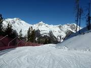 Piste familiale facile près de la télécabine Panorama
