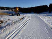 Piste de ski de fond au centre de ski nordique Millegroppe