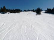 Piste n° 1