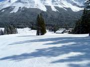 Pistes pour débutants au Green Chair