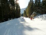 Descente vallée Loderbichl-Lofer