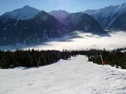 Descente jusqu'à la vallée vers Neukirchen