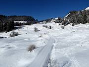 Piste de ski de fond à Villars