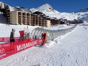 Musaraigne - Tapis roulant recouvert d’une galerie
