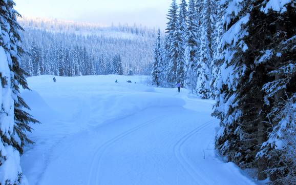 Ski nordique Thompson-Nicola – Ski nordique Sun Peaks