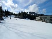 Piste pour débutants au Magic Chair