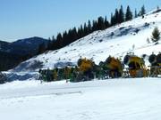 Les canons à neige ne manquent pas