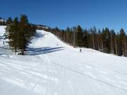 Piste 5 (Blue Slope)
