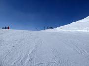 Piste facile n° 2 Wilder Mann