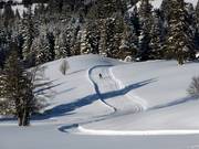 Les pistes de ski de fond sont préparées pour le style classique et le skating.