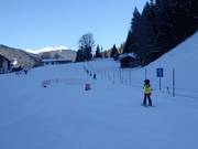 Babylift Viehhofen - Télécorde/remonte-pente à câbles bas