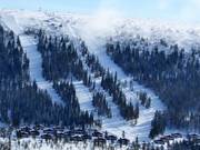 Vue sur les difficiles descentes en forêt au télésiège Solliften à Tandådalen