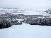 Descente difficile Grizzly