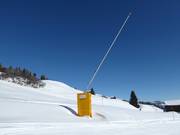 Lance à neige dans le domaine skiable