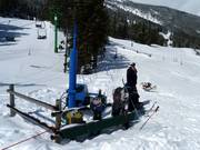 Barney Handle Tow pour les petits