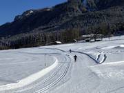 Piste de ski de fond à Bramberg