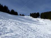 Descente FIS hommes difficile Weiherkopf