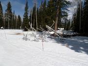 Canons à neige à Snowmass